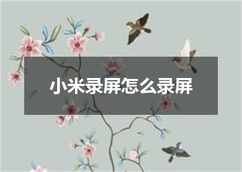 小米录屏怎么录屏