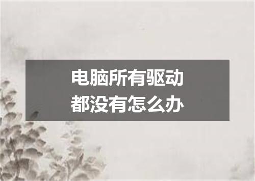 电脑所有驱动都没有怎么办