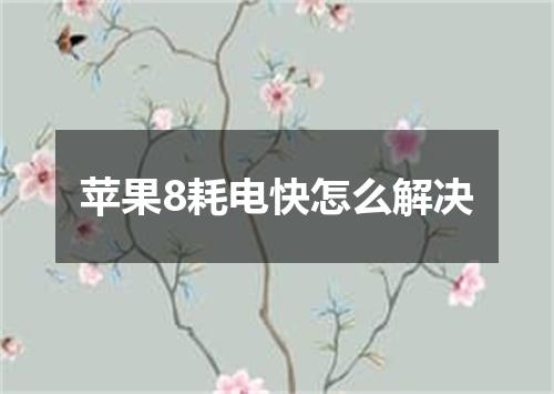 苹果8耗电快怎么解决