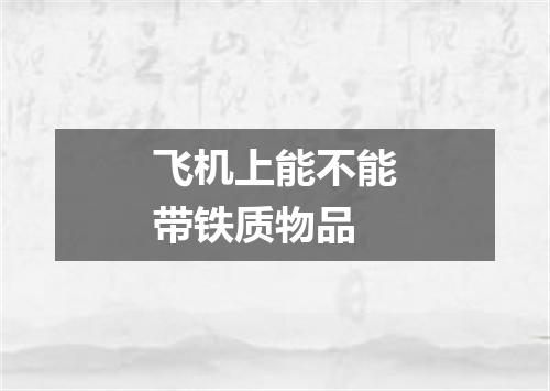 飞机上能不能带铁质物品