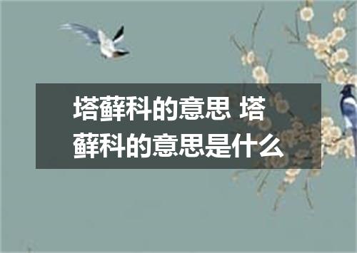 塔藓科的意思 塔藓科的意思是什么