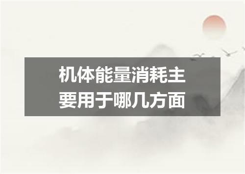 机体能量消耗主要用于哪几方面