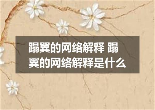 蹋翼的网络解释 蹋翼的网络解释是什么