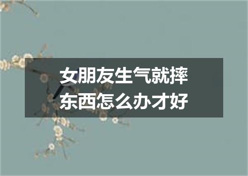 女朋友生气就摔东西怎么办才好