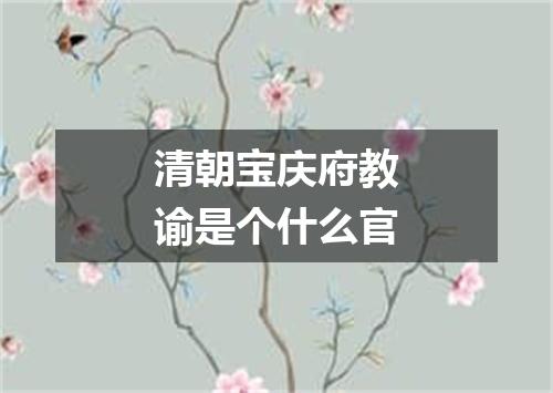 清朝宝庆府教谕是个什么官