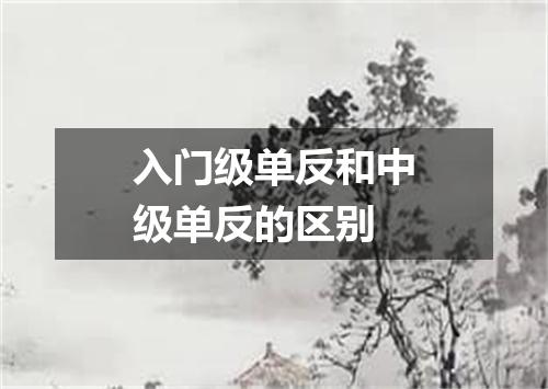 入门级单反和中级单反的区别