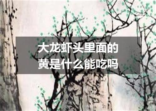 大龙虾头里面的黄是什么能吃吗