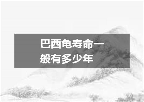 巴西龟寿命一般有多少年