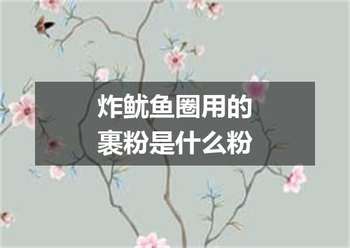 炸鱿鱼圈用的裹粉是什么粉