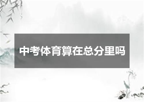 中考体育算在总分里吗