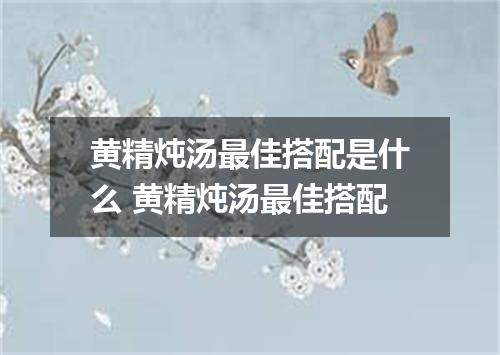 黄精炖汤最佳搭配是什么 黄精炖汤最佳搭配