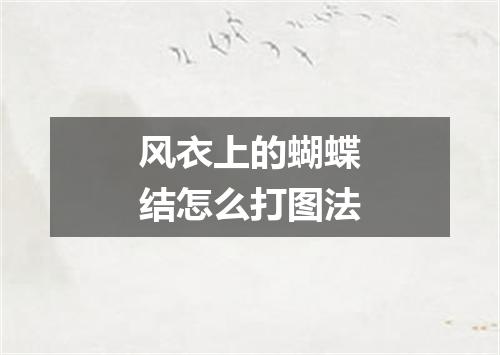 风衣上的蝴蝶结怎么打图法