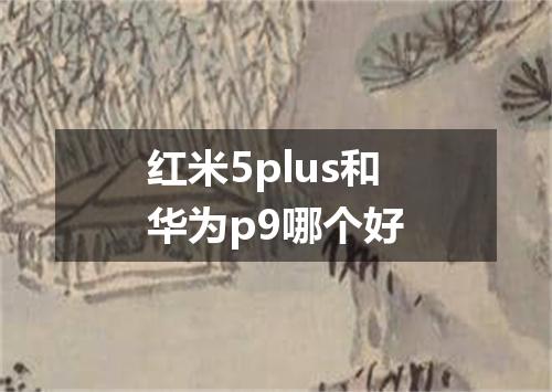 红米5plus和华为p9哪个好