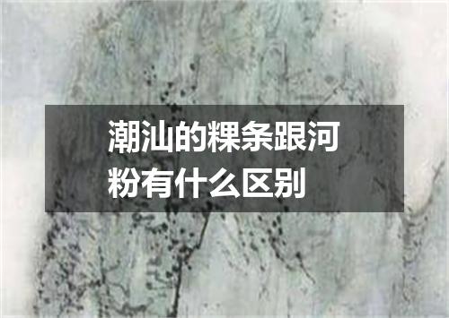 潮汕的粿条跟河粉有什么区别