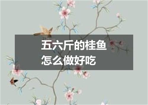 五六斤的桂鱼怎么做好吃