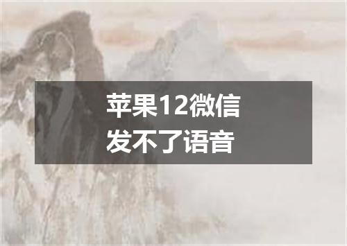 苹果12微信发不了语音