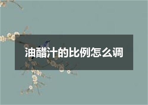 油醋汁的比例怎么调