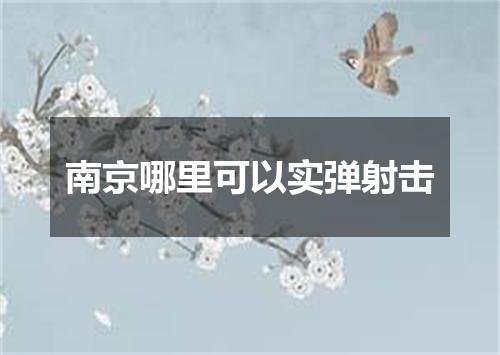 南京哪里可以实弹射击