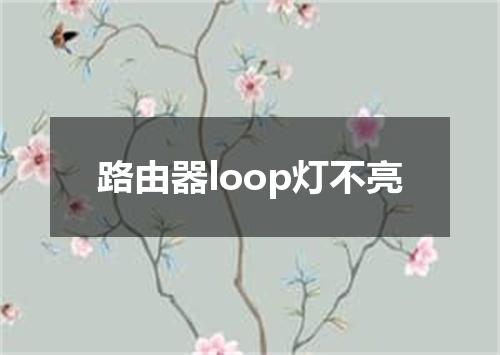 路由器loop灯不亮