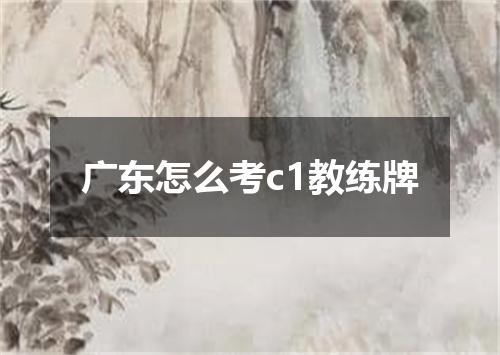 广东怎么考c1教练牌
