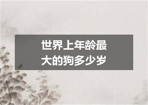 世界上年龄最大的狗多少岁
