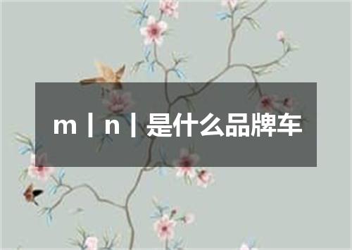 m丨n丨是什么品牌车