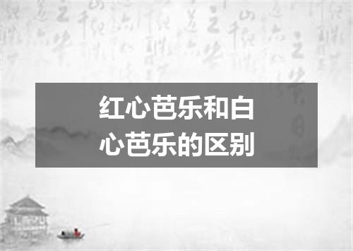 红心芭乐和白心芭乐的区别