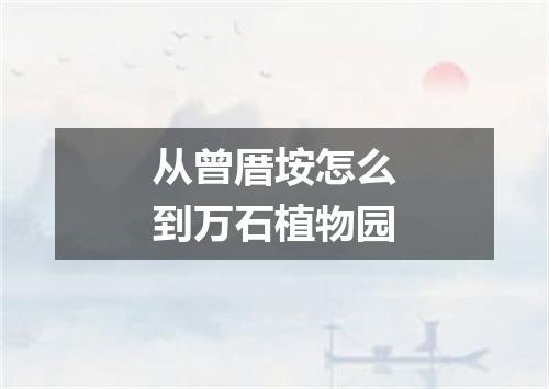从曾厝垵怎么到万石植物园