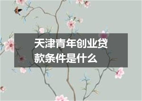 天津青年创业贷款条件是什么
