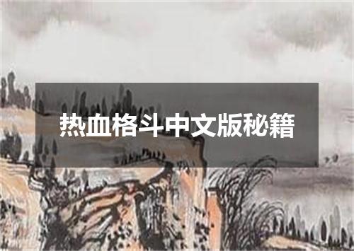 热血格斗中文版秘籍