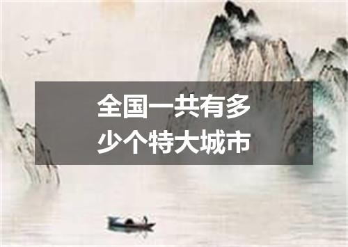 全国一共有多少个特大城市