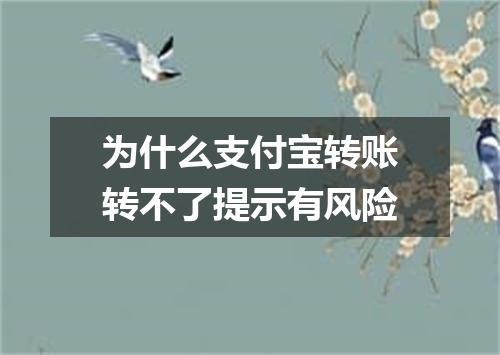 为什么支付宝转账转不了提示有风险