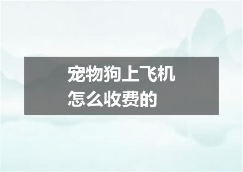 宠物狗上飞机怎么收费的