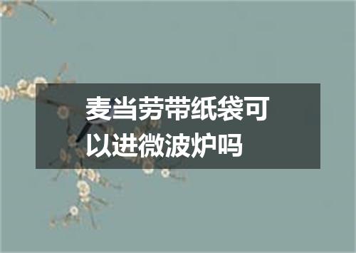 麦当劳带纸袋可以进微波炉吗