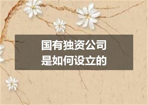 国有独资公司是如何设立的