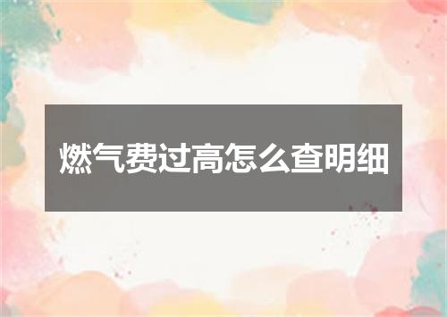 燃气费过高怎么查明细