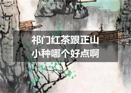 祁门红茶跟正山小种哪个好点啊