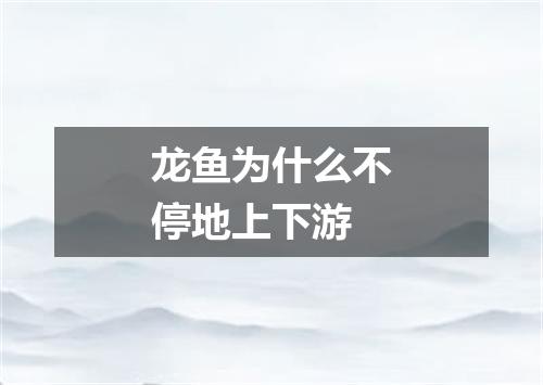 龙鱼为什么不停地上下游