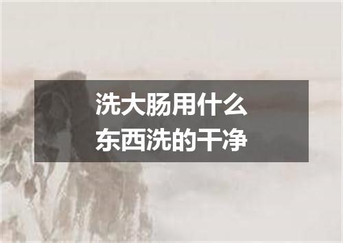 洗大肠用什么东西洗的干净