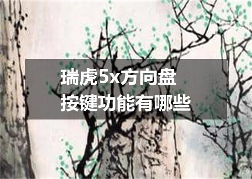 瑞虎5x方向盘按键功能有哪些