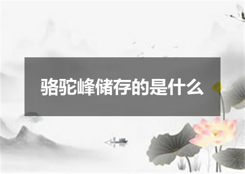 骆驼峰储存的是什么