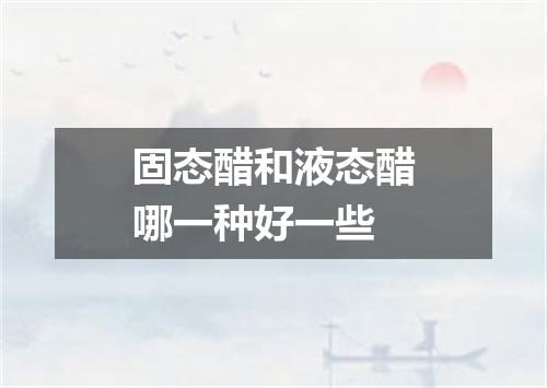 固态醋和液态醋哪一种好一些