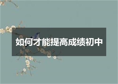 如何才能提高成绩初中