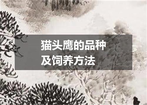 猫头鹰的品种及饲养方法