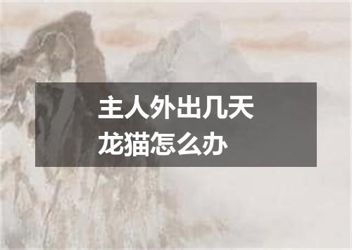 主人外出几天龙猫怎么办