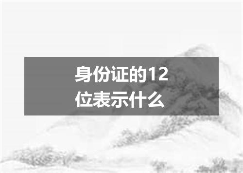 身份证的12位表示什么