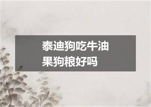 泰迪狗吃牛油果狗粮好吗