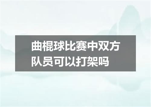 曲棍球比赛中双方队员可以打架吗