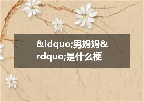 &ldquo;男妈妈&rdquo;是什么梗