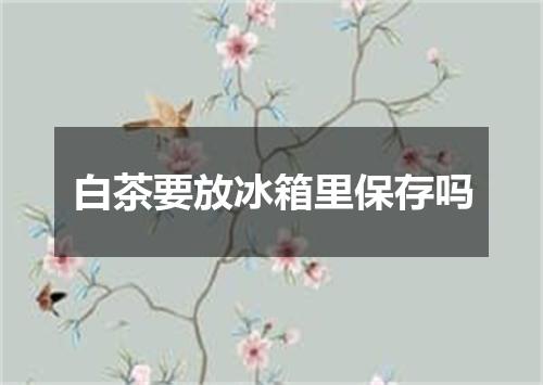 白茶要放冰箱里保存吗